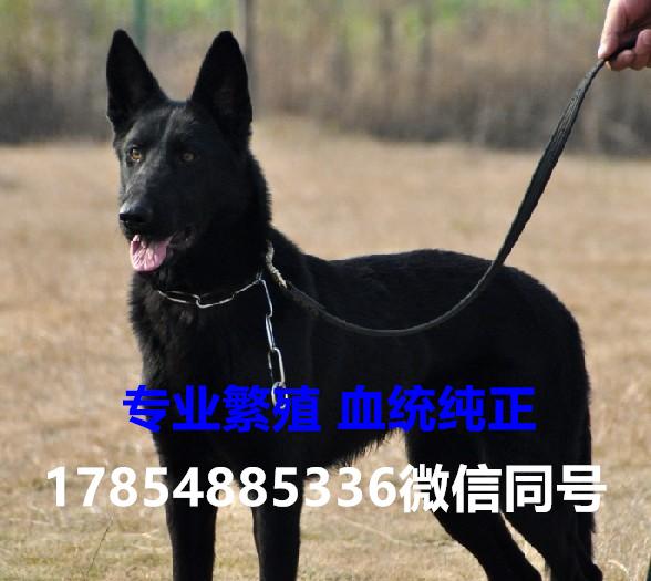 精密机械零部件 第83页